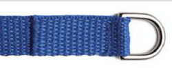 Personalized Leashes with D-Ring